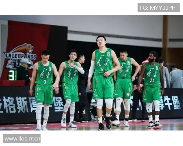 湖北的CBA球队及其影响力分析