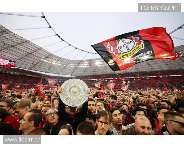 英超积分100球队年度表现谁领风骚 英超积分100球队年度表现谁领风骚